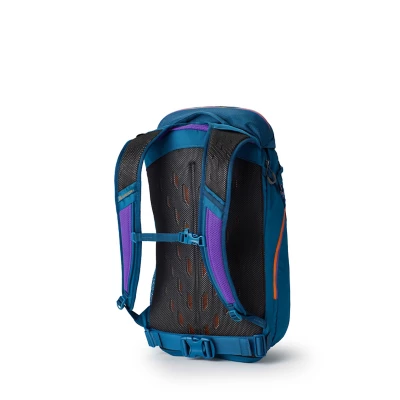 Gregory Mountain Mountain Nano 30 Backpack