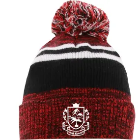 Inch Rovers Canyon Bobble Hat